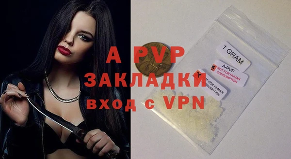 спайс Арсеньев