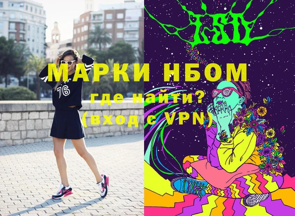 гашик Аркадак