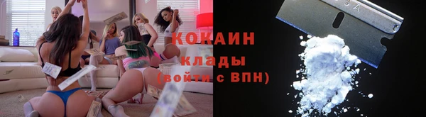 спайс Арсеньев