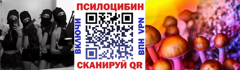 Купить  Лодейное Поле  Псилоцибиновые грибы GOLDEN TEACHER 